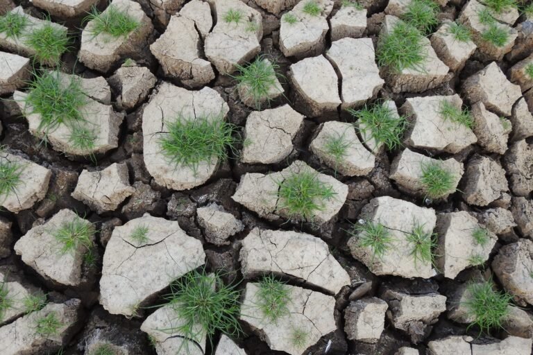 El Niño is here: why Ecuador’s weather already feels unusual